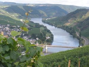 a river with a bridge in the middle of a valley at Gästehaus Alfons und Marianne Eifel in Trittenheim