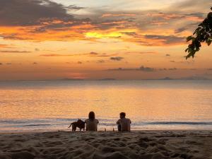 - deux personnes et un chien sur la plage au coucher du soleil dans l'établissement O Little Tent de Koh Chang, à Ranong