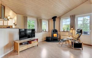VestergårdにあるAwesome Home In Toftlund With 3 Bedrooms, Sauna And Wifiのリビングルーム(薄型テレビ、暖炉付)