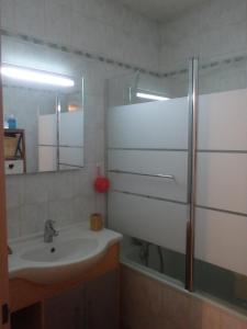 ein Bad mit einem Waschbecken, einer Dusche und einem Spiegel in der Unterkunft Le Moulin des Prés in Vesoul