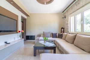 TV a/nebo společenská místnost v ubytování Cretan Nature Villa Alexandra