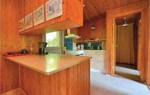 een keuken met houten wanden en een aanrecht in de keuken bij Beautiful Home In Fan With Wifi in Fanø