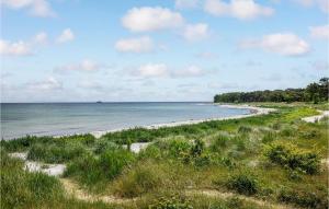 a beach with grass and the ocean on a cloudy day at Blåmejsen in Snogebæk