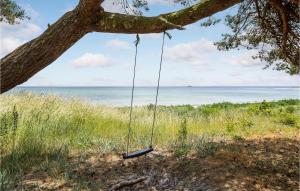a swing hanging from a tree on the beach at Blåmejsen in Snogebæk