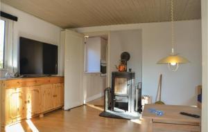 een woonkamer met een televisie en een open haard bij Stunning Home In Jgerspris With Wifi in Jægerspris