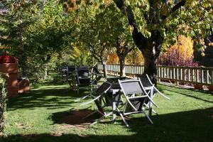 A garden outside Hotel Casa Peix