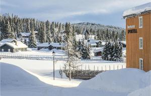 Nordseter Sportell 271 v zimě