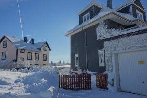 a house with a white garage in the snow at Apartment Johanna Oberhof in Oberhof