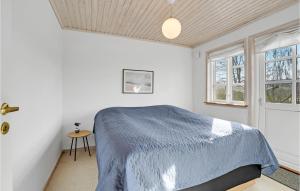 哈泽斯莱乌Nice Home In Haderslev With Kitchen的带蓝色床和窗户的卧室 更多18张照片