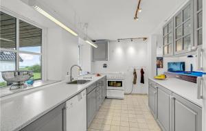 Η κουζίνα ή μικρή κουζίνα στο Cozy Home In Store Heddinge With Wifi