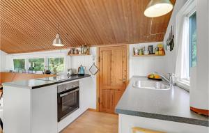 a kitchen with a sink and a counter top at 1 Bedroom Awesome Home In Jægerspris in Jægerspris