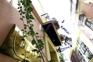Balkón alebo terasa v ubytovaní Un Patio en Santa Cruz