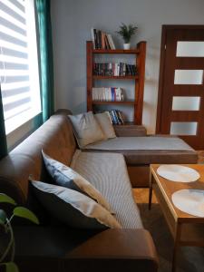 a living room with a couch and a book shelf at Apartamenty Pod Hutą in Węgierska Górka