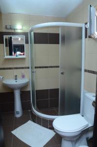 een badkamer met een douche, een toilet en een wastafel bij Villa Konzuli in Bitola