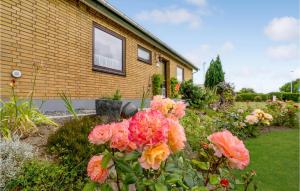 Zahrada ubytování 3 Bedroom Pet Friendly Home In Nordborg + 10 fotografií
