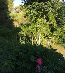 a garden with pink flowers and trees in the background at Villa 10-12 pers centre La Baule 300m de la Mer in La Baule