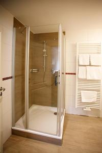 a shower with a glass door in a bathroom at Gasthof Hillig in Bad Gottleuba