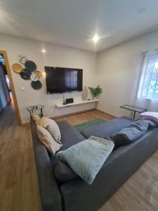 uma sala de estar com um sofá e uma televisão de ecrã plano em Casa Particular das Pedras em Vila Nova de Gaia