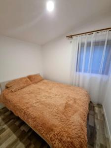 Photo de la galerie de l'établissement Cabana Porolissum, à Moigrad