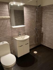 Vonios kambarys apgyvendinimo įstaigoje Branäs Holiday Home