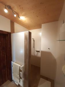 W łazience znajduje się prysznic i ręcznik. w obiekcie Kornihof w mieście Waidhofen an der Ybbs