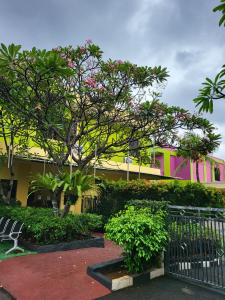 a pink and yellow building with a tree and bushes at RedDoorz Plus near Dunia Fantasi Ancol in Jakarta