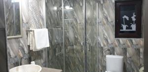 a bathroom with a shower with a toilet and a sink at Green Forest Apartments in Buşteni +14 photos