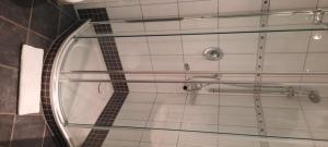 バンシンにあるVineta-App-15のガラス張りのバスルーム(ガラス張りのシャワー付)