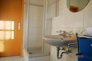 uma casa de banho com um lavatório e um chuveiro em Feriendomizil-Goethestr-App-12 em Ahlbeck