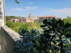 ローマにあるDelmirani's Book Apartments - Vatican Viewの市街の景色を望むバルコニー付きのサボテン