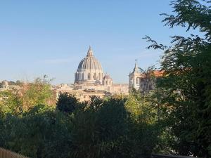 ローマにあるDelmirani's Book Apartments - Vatican Viewの大聖堂を背景にした建物