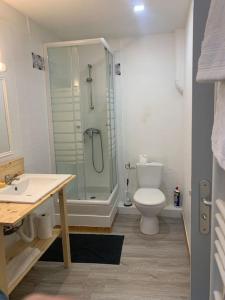 ein Bad mit einer Dusche, einem WC und einem Waschbecken in der Unterkunft Charmant appartement 2 chambres dans le centre historique in Orange