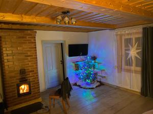 a living room with a christmas tree and a fireplace at Dzirnavkalns in Cesvaine