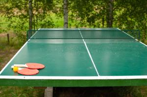 Stolný tenis v ubytovaní Penzion Na Pohoři alebo v jeho okolí