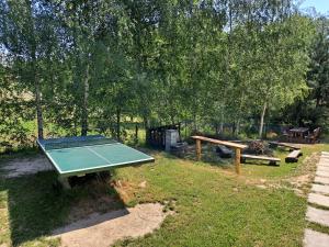Stolný tenis v ubytovaní Penzion Na Pohoři alebo v jeho okolí