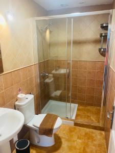 een badkamer met een douche, een toilet en een wastafel bij VV Faro in Puerto de Mogán