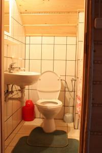 a small bathroom with a toilet and a sink at Agroturystyka u Marii in Białka Tatrzańska