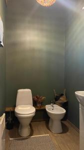 a bathroom with a toilet and a sink at Dzirnavas Pirtsmāja in Cesvaine