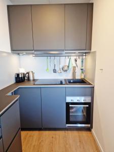 uma cozinha com um lavatório e um fogão em Stadtgebiet EIC-018 em Heiligenhafen