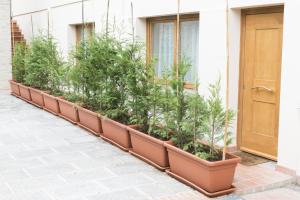 A garden outside B&B Cava Rossa