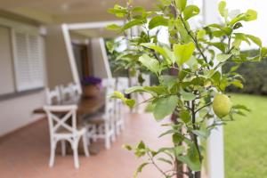 A garden outside B&B Cava Rossa