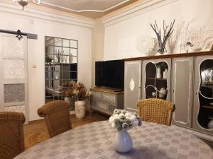 TV a/nebo společenská místnost v ubytování Stillvolle Designwohnung im historischen Zentrum