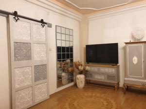 TV a/nebo společenská místnost v ubytování Stillvolle Designwohnung im historischen Zentrum