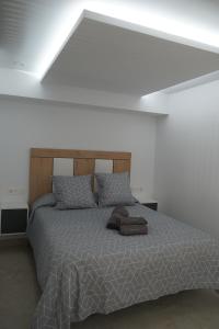 1 dormitorio con 1 cama con manta gris y almohadas en Apartamento Turistico Hermanos Infantes, en Estepona