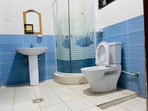 Virunga Homestays في Ruhengeri: حمام مع مرحاض ومغسلة