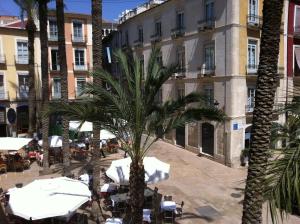 a palm tree in front of a building at Barrio Boutik Hostal long stays in Alicante