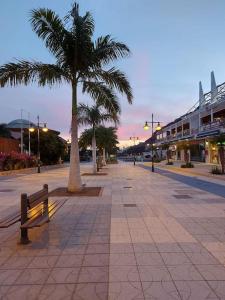 莫甘海灘的住宿－VV VELERO，一条有长凳和棕榈树的街道