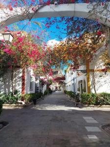 an empty street with flowering trees and white houses at VV VELERO in Puerto de Mogán