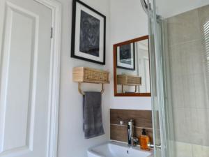 bagno con lavandino e doccia di Countryside Garden Summer House a Calne