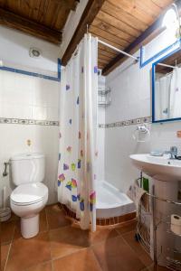 ein Bad mit einem WC und einem Duschvorhang in der Unterkunft CASA PETRA in Miranda del Castañar